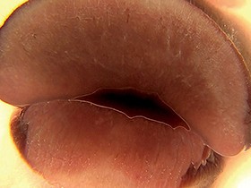 フランス美女レズビアン ルロア・クララ サンプル動画サムネイル